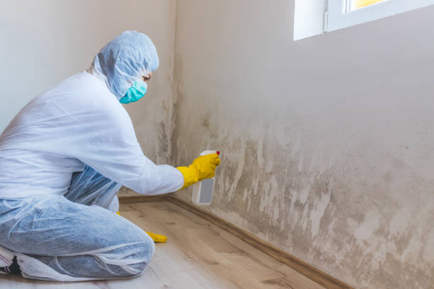 Mold Remediation specialist working in Joint Base Mdl